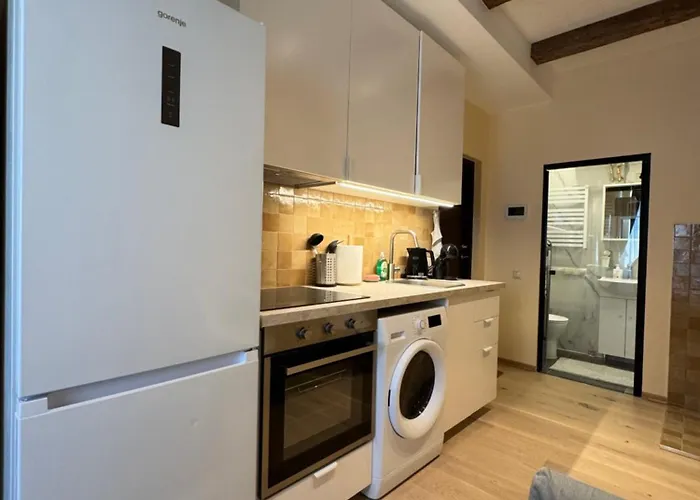 Bonum Apartments In Vilnius Old Town